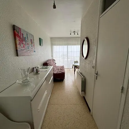 Avec Balcon, Animaux Admis, Proche Thermes - Fr-1-503-81 * Balaruc-les-Bains