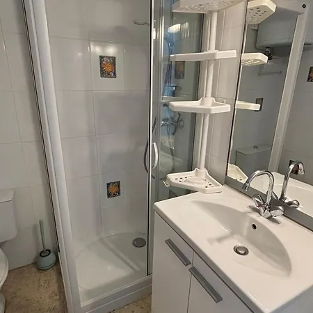 Avec Balcon, Animaux Admis, Proche Thermes - Fr-1-503-81 Balaruc-les-Bains