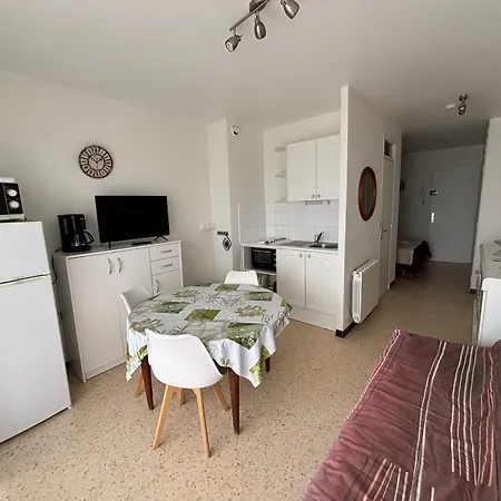 Apartament Avec Balcon, Animaux Admis, Proche Thermes - Fr-1-503-81 *